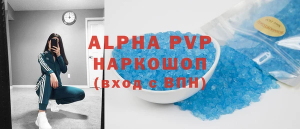 крисы Бородино