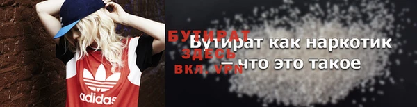крисы Бородино