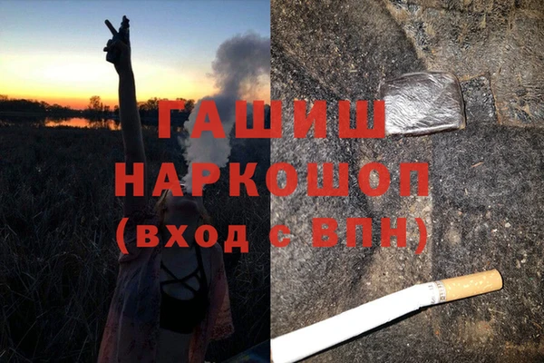 крисы Бородино