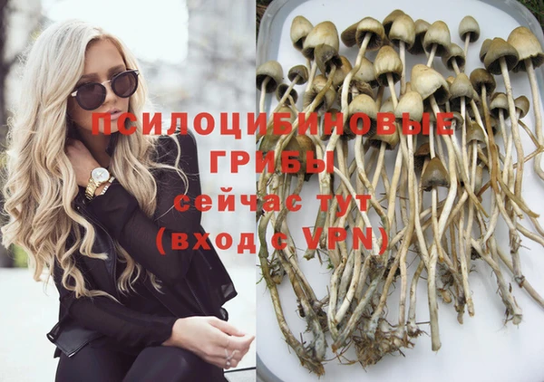 дурь Бронницы