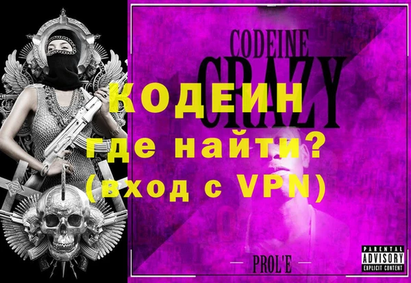 крисы Бородино
