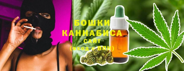 крисы Бородино