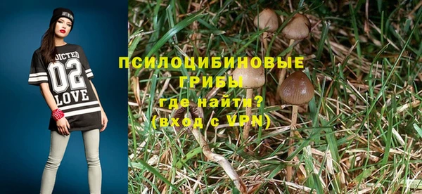 a pvp Верея