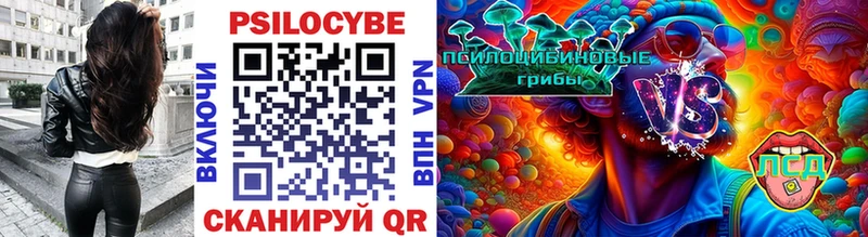 Галлюциногенные грибы GOLDEN TEACHER Новохопёрск